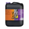 root stimulator bcuzz 10 L