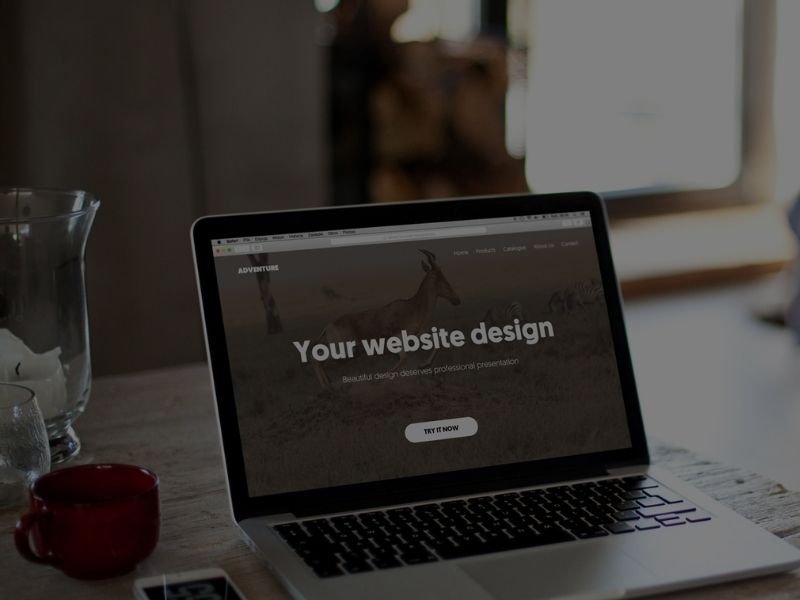 diseño web y seo ivan
