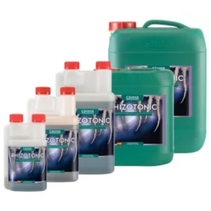 Rhizotonic Canna