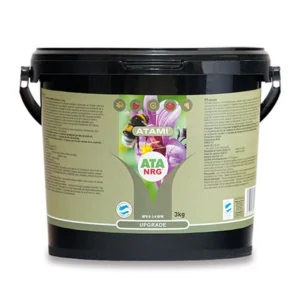 nrg upgrade atami 3 kg