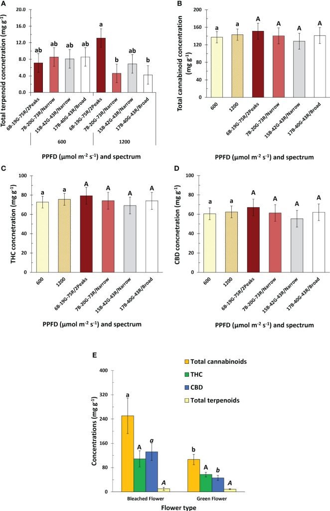 efectos espectro y ppfd en la concentracion de metabolitos especializados cannabis sativa