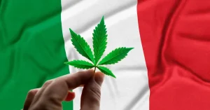 italia prohibicion produccion cbd