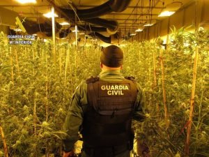 multas marihuana ley mordaza