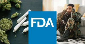 fda autoriza estudio cannabis fumado veteranos guerra sindrome estres postraumatico