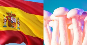 legalidad espana hongos psilocibios setas