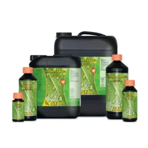 ATA Terra Leaves Atami