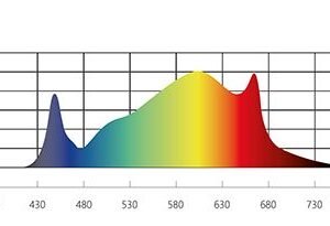 LED Force Caluma 320w espectro