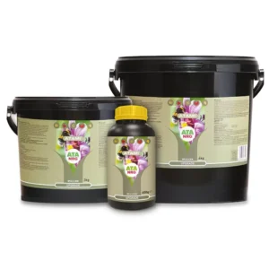 ATA NRG Upgrade Atami