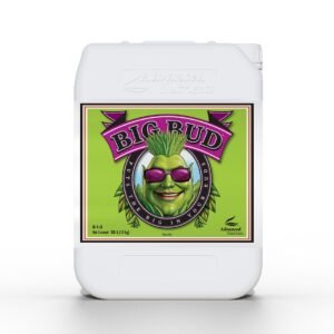 big bud precio