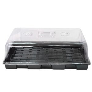 Invernadero propagador esquejes