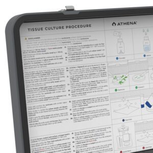 kit cultivo tejidos athena instruciones
