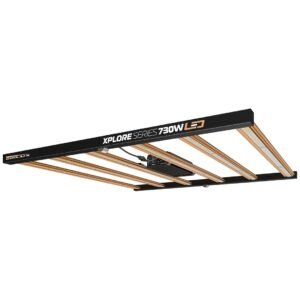 LED Dimlux Xplore Series 730w