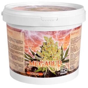 megabud THC 5 kg