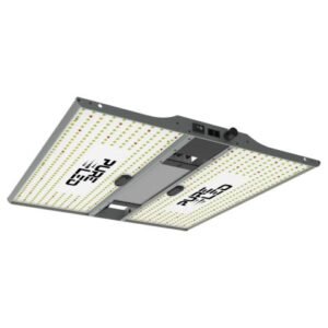 Pure LED Q240 version 2.0