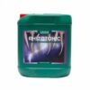 rhizotonic canna 5 litros