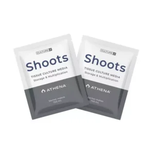 shoots culture media athena