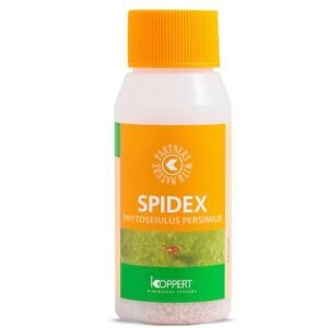 Spidex Koppert 10.000 depredador araña roja