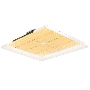 LED TSW 2000 Mars Hydro version 2026