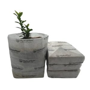 Coco Block Hydra 15x15 cm
