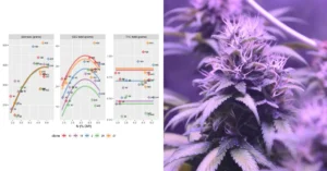 ¿Cuál es el nivel adecuado de nitrógeno para la producción de cannabis?
