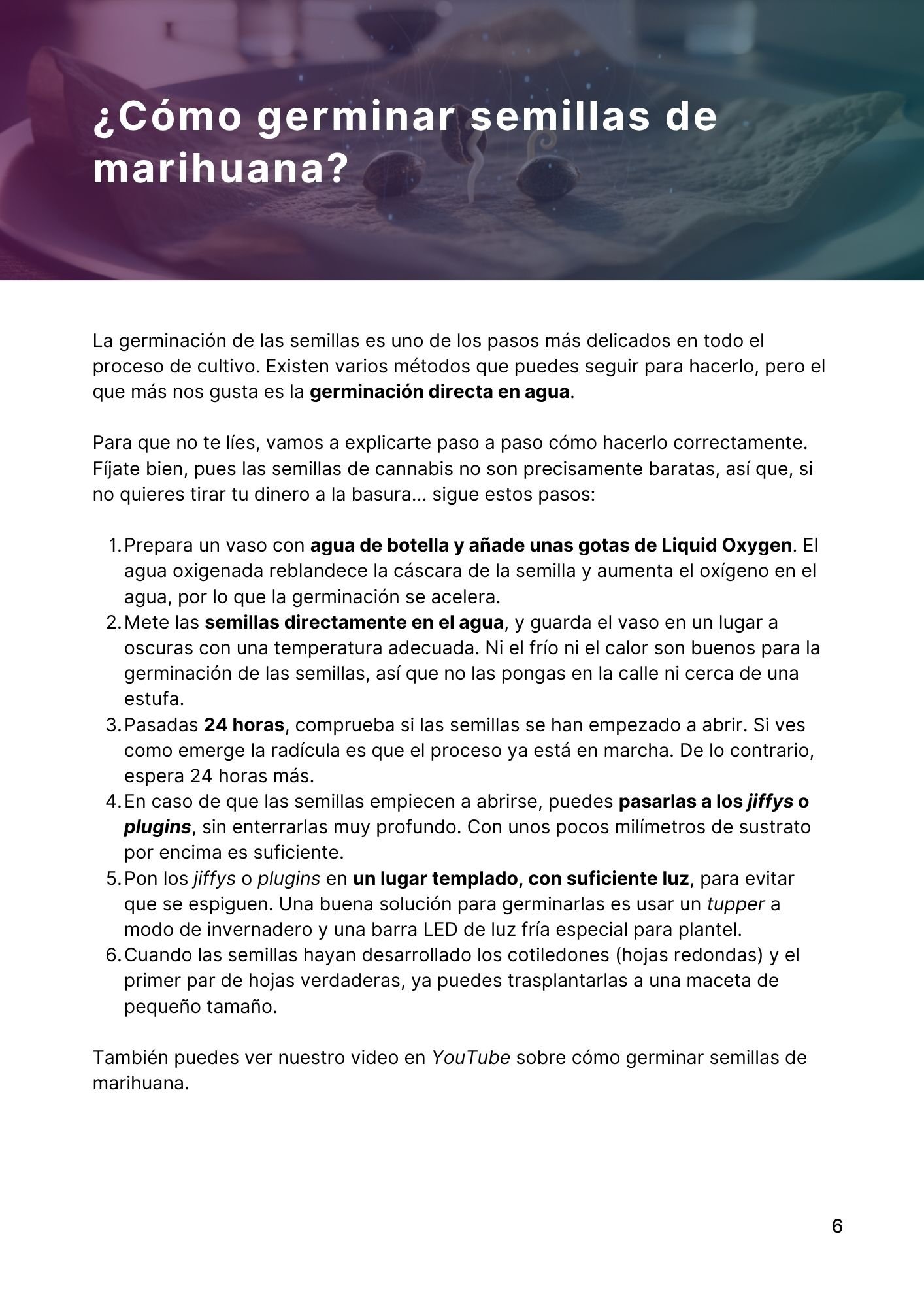 Guía Ebregrow – Página 6 (vista parcial)