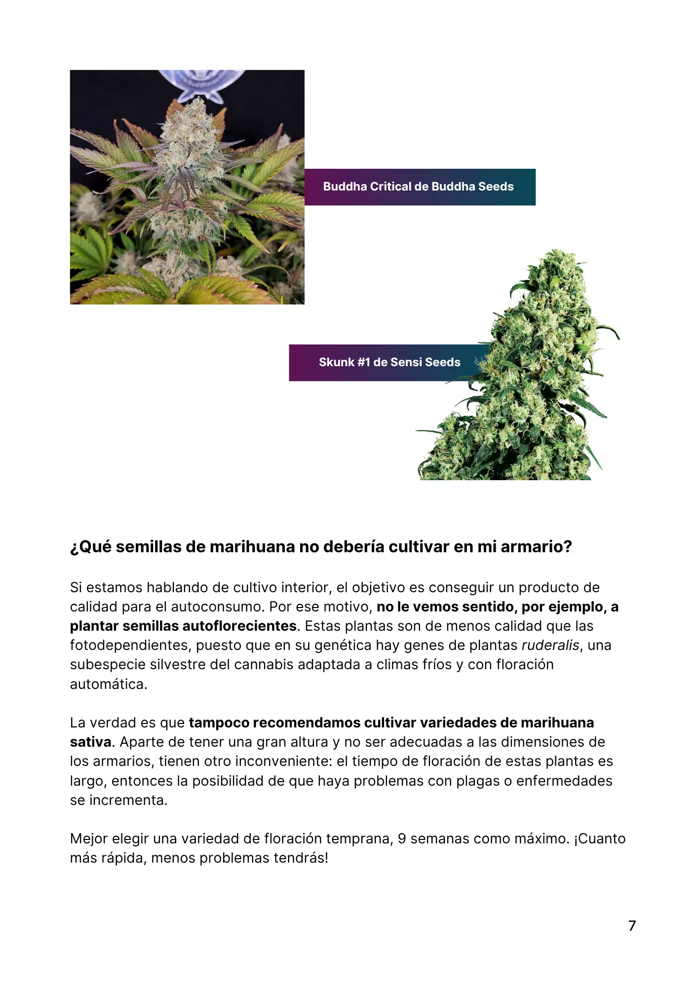 Guía Ebregrow – Página 7