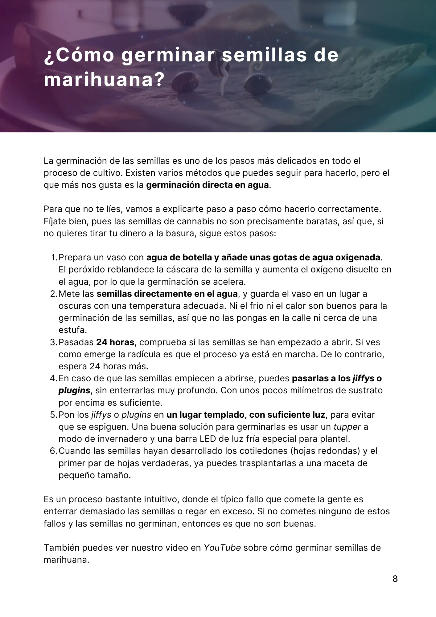 Guía Ebregrow – Página 8