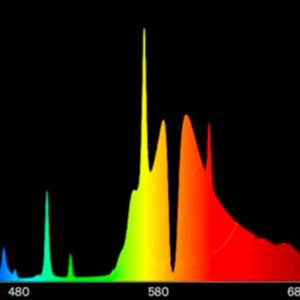 foco 1000w sodio flexstar espectro