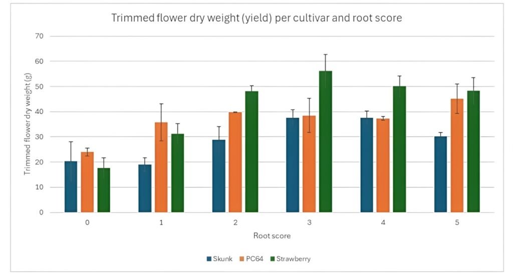 Rendimiento de flor seca manicurada (g) por root score (0–5) y cultivar: Skunk, PC64 y Strawberry