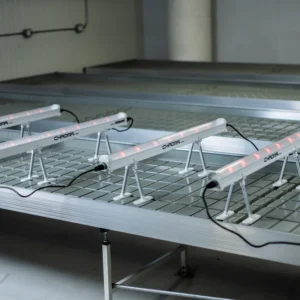 Pack 4 luces under canopy Faven Chroma 120W + Far Red