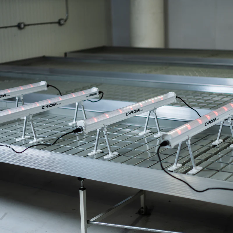 Pack 4 luces under canopy Faven Chroma 120W + Far Red