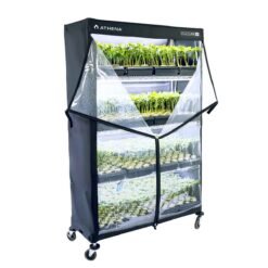 Athena VP Dome 122x183x46 | Invernadero propagación