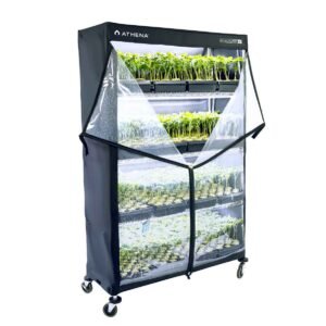 Athena VP Dome 122x183x46 | Invernadero propagación