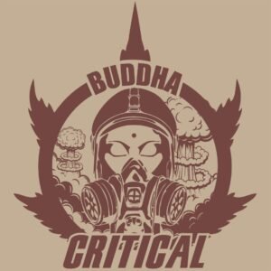 Buddha Critical Buddha Seeds