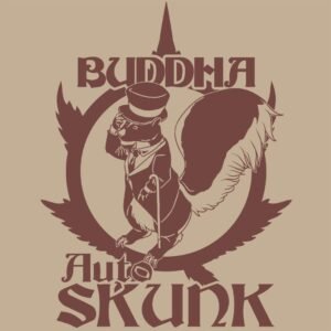 Buddha Auto Skunk Buddha Seeds