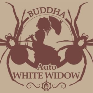 Buddha Auto White Widow Buddha Seeds
