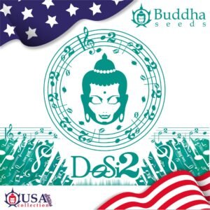 Buddha DoSi2 Buddha Seeds