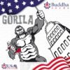Semillas feminizadas Gorila | Buddha Seeds