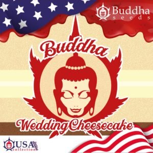 Buddha Wedding Cheesecake Buddha Seeds