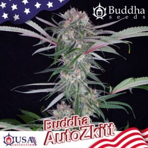 276 Buddha Auto Zkitt