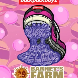 Bubblegum Gelato Barney's Farm x Backpack Boyz