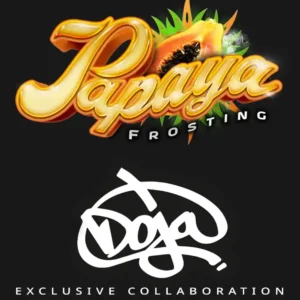Papaya Frosting Barney's Farm x DOJA Exclusive