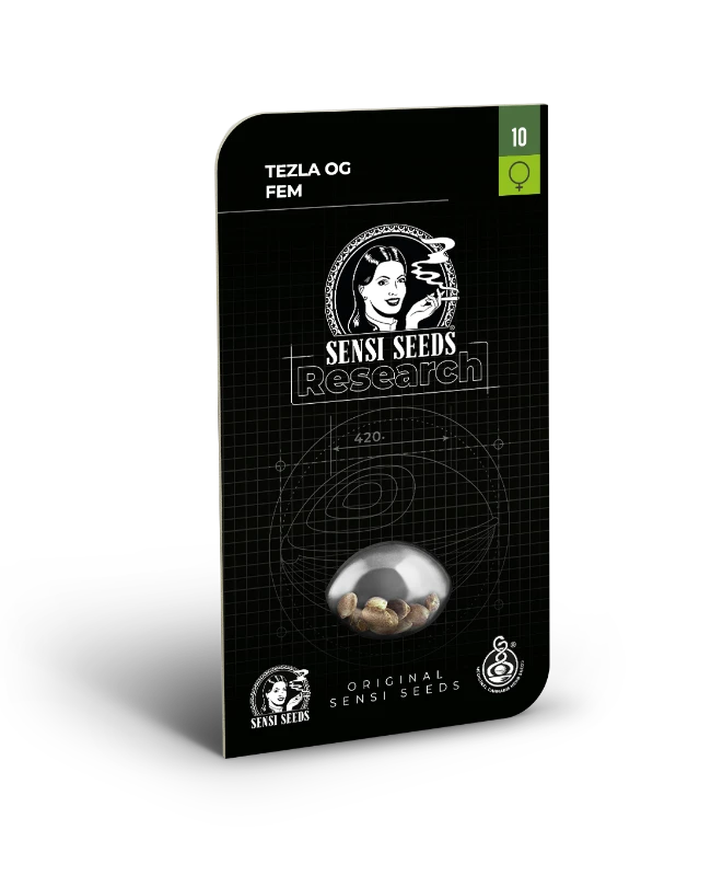 Tezla OG Sensi Seeds - Imagen 2