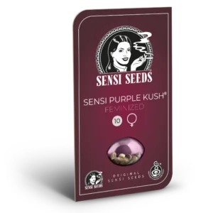 0000035 sensi purple kush feminized seeds 800