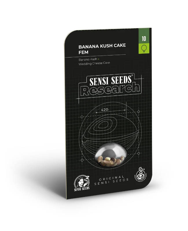 Banana Kush Cake Sensi Seeds - Imagen 2
