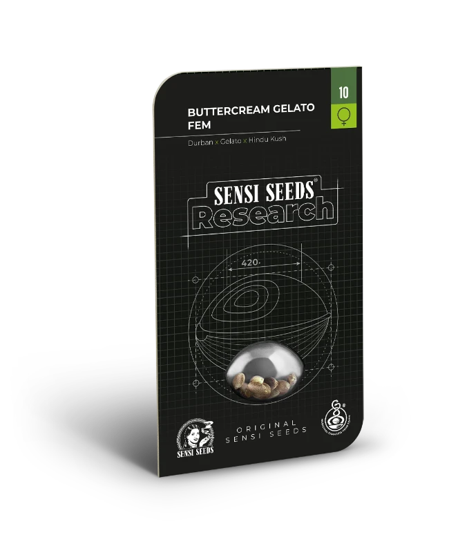 Buttercream Gelato Sensi Seeds - Imagen 2