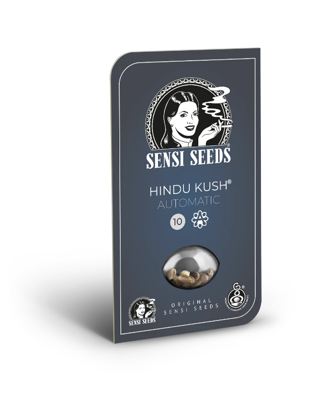 Hindu Kush Auto Sensi Seeds - Imagen 2