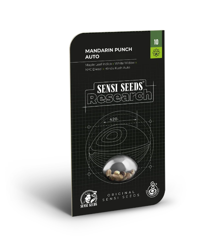 Mandarin Punch Auto Sensi Seeds - Imagen 2