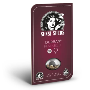0000546 durban feminized seeds 800