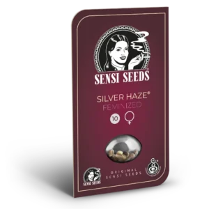 0000612 silver haze feminized seeds 800